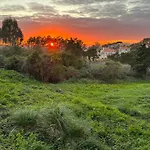 Boutique - O House Hills Bed & Breakfast Ericeira