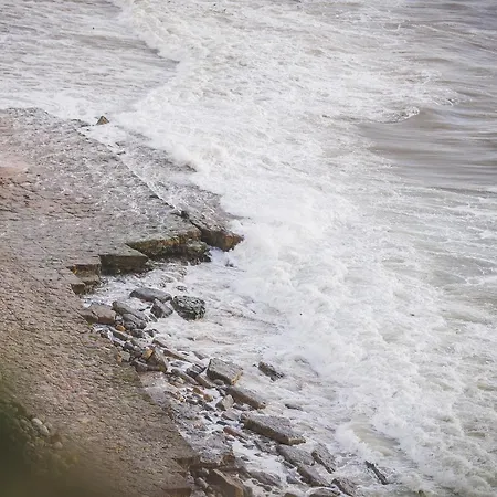 Boutique - O House Hills Ericeira