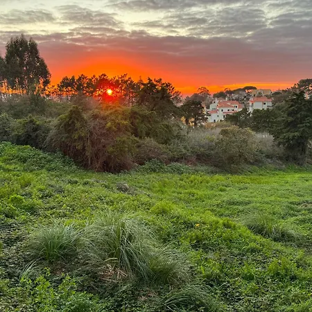 Boutique - O House Hills Bed & Breakfast Ericeira